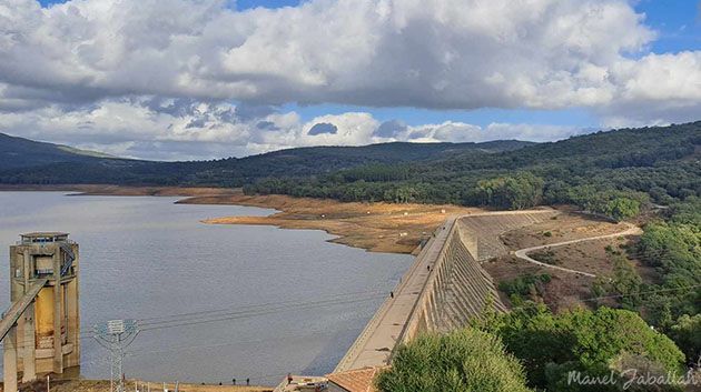 وزارة الفلاحة: 'نسبة امتلاء السدود بلغت 25 % بعد الأمطار الأخيرة' 