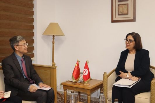 وزيرة التجارة تدعو إلى تسهيل نفاذ المنتجات التونسية إلى السوق الصينية