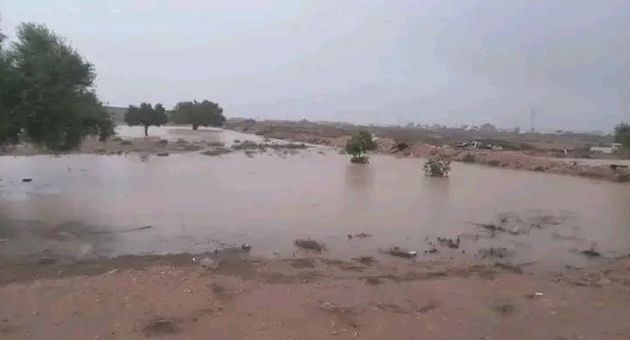 مدنين.. تراكم المياه بعدد من الأحياء وتسربها الى المنازل