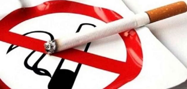 بداية من اليوم : تحجير التدخين بكافة هياكل ومقرات وزارة التعليم العالي والبحث العلمي والمؤسسات الجامعية