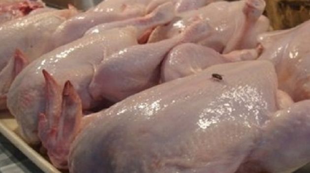 منوبة: حجز 360 كغ من الدجاج المذبوح داخل مذبح عشوائي