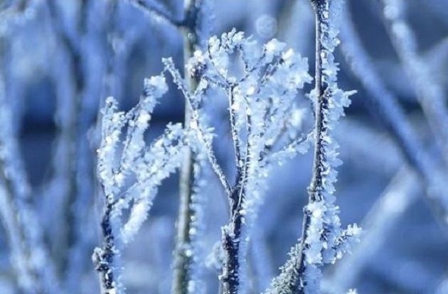 طقس: ظهور الجليدة بالمناطق الغربية وأمطار متفرقة بمناطق أقصى الشمال