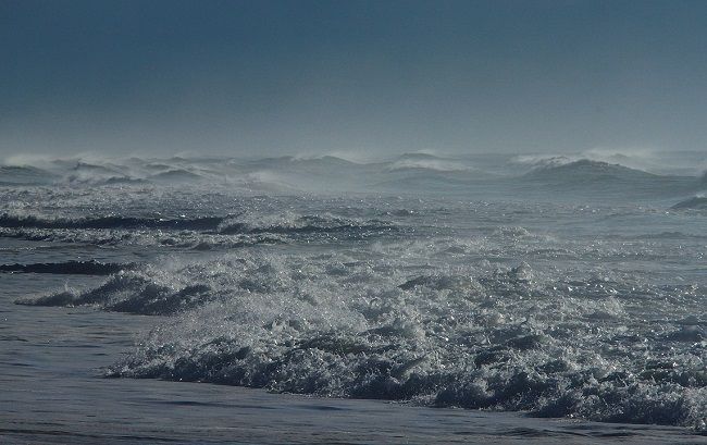 طقس اليوم الخميس 11 جانفي 2024