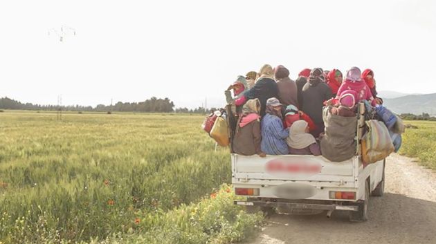 إصابة عاملات فلاحيات في حادث انقلاب شاحنة ببنزرت: المستجدّات (فيديو)