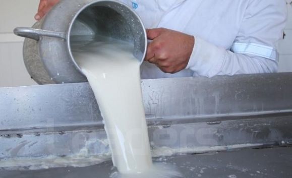 النقابة الوطنية للفلاحين: من الصعب عودة نسق إنتاج الحليب لما كان عليه