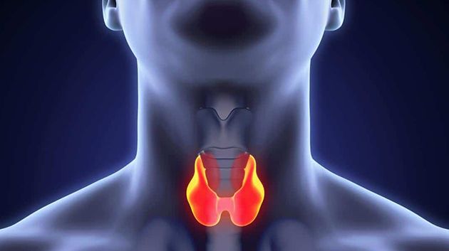 كيف تكشف إصابتك بقصور الغدة الدرقية؟