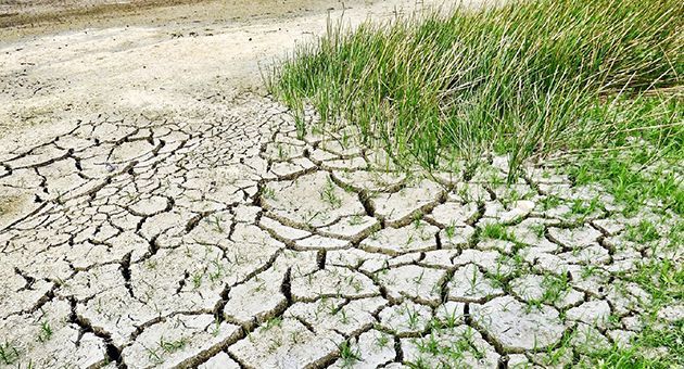 المنتدى المتوسطي للمياه: تونس شديدة التأثر بالكوارث الطبيعية