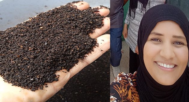 امرأة تونسية تنجح في انتاج سماد طبيعي للزراعة استخرجته من الذّباب