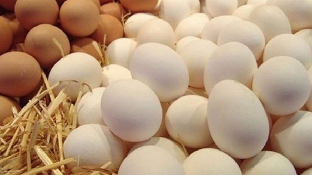 تخزين 23 مليون بيضة و 5 آلاف طن من 'البطاطا' لشهر رمضان