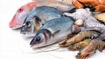 تراجع فائض الميزان التجاري من منتجات الصيد البحري بـ17.9 %