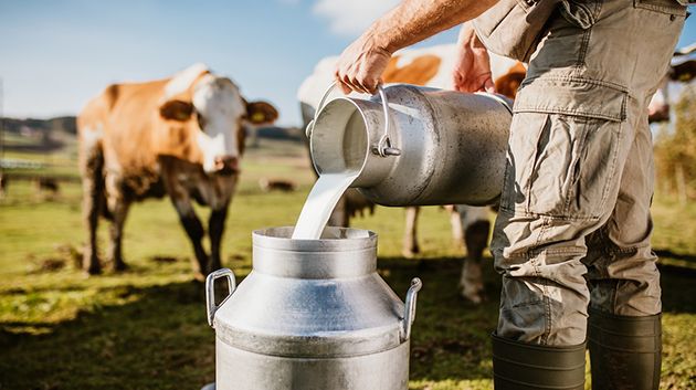 مدير التجارة بنابل: 'إنتاج الحليب سيشهد تحسّنًا خلال شهر رمضان'