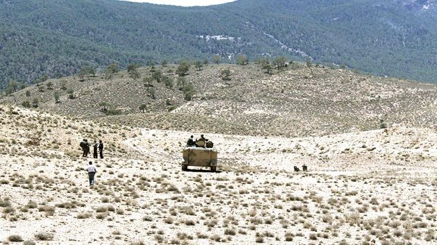 بوزغاية: لم يبق من الإرهابيين المتحصّنين بالجبال سوى 11 عنصرا 