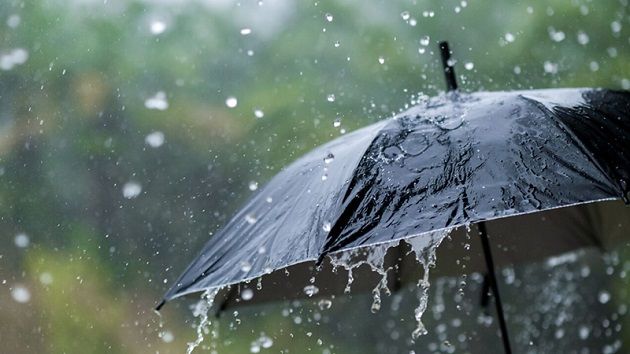 أمطار متفرقة ومؤقتا رعدية بالمناطق الغربية للشمال والوسط