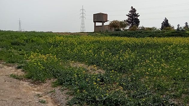 بني خلاّد: استرجاع عقار دولي فلاحي يمسح 56 هك