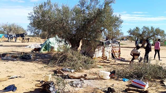 ناشط مدني: '20 ألف مهاجر افريقي يستوطنون غابات الزيتون في العامرة' (فيديو)