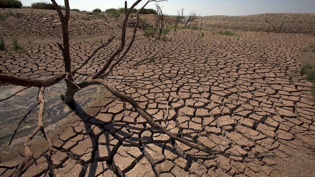 تونس الدولة الخامسة في العالم الأكثر عرضة لخطر الجفاف 