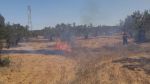 نابل: حريق بأرض فلاحية يأتي على 30 شجرة قوارص