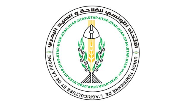 اتحاد الفلاحة يدعو إلى إقرار برنامج خزن تعديلي 'لامتصاص كميات البطاطا من السوق'