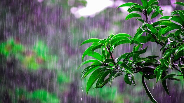 طقس اليوم.. أمطار رعدية ومتفرّقة بهذه المناطق