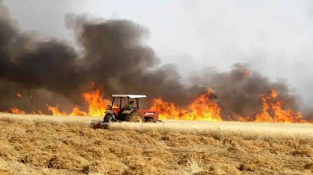 سليانة: حريق يأتي على 3 هك من حقول القمح