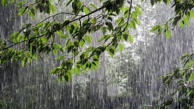 بداية من ظهر اليوم: أمطار مؤقتا رعدية ومحليا غزيرة في هذه الولايات 