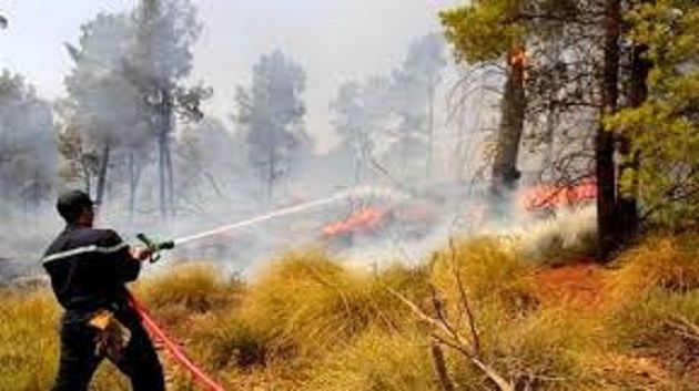 سليانة: السيطرة على حريق نشب بأرض زراعية بأحواز برقو