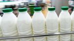 مخزون الحليب المعلب الاستراتيجي لا يتجاوز 20 مليون لتر