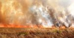 الديوان الوطني للحماية المدنية: أكثر من 250 حريقا منذ بداية شهر ماي (فيديو)