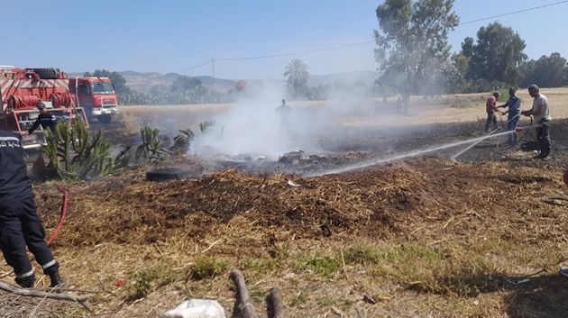 جندوبة: إخماد حريق نشب في أحد حقول القمح 