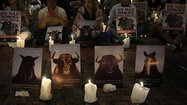 تقليد عمره قرون: كولومبيا تحظر مصارعة الثيران