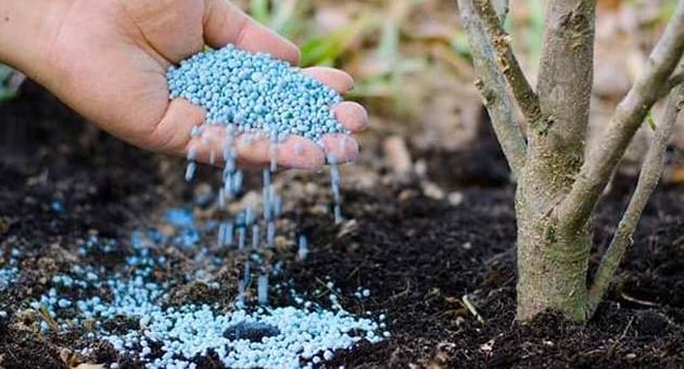دعوة الناشطين في مجال توزيع الأسمدة الكيميائية المعدة للاستعمال الفلاحي الى تحيين تصاريح نشاطهم