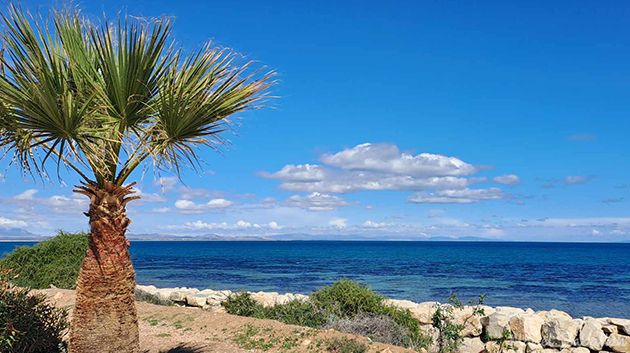 طقس اليوم الأربعاء 05 جوان 2024