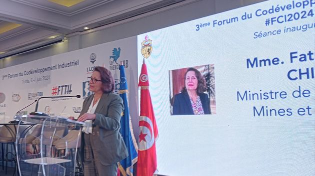 وزيرة الصناعة : المؤسسات الفرنسية في تونس تشغل أكثر من 100 ألف عامل