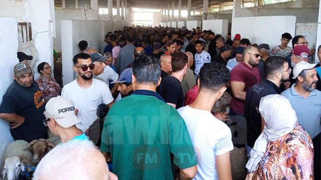 شركة اللحوم: ازدحام كبير.. استياء في صفوف المواطنين.. و 'القشاّرة' في الموعد (صور)