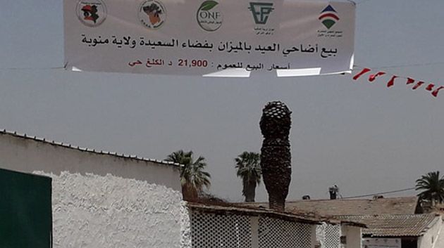 وزير الفلاحة يفتتح نقطة بيع الأضاحي بالميزان بالسعيدة