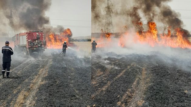 جندوبة: اندلاع حريق بحقل قمح