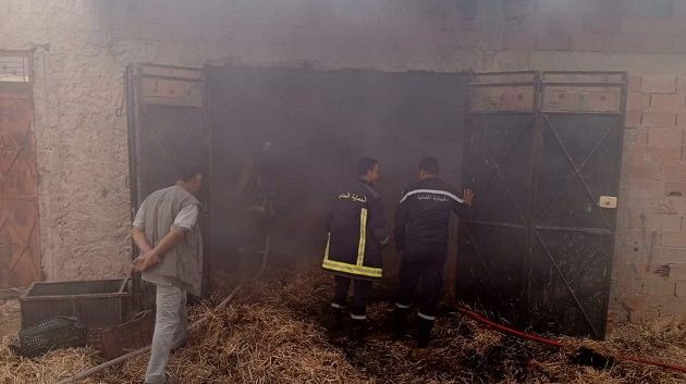 قفصة: السيطرة على حريق بمستودع 'تبن'
