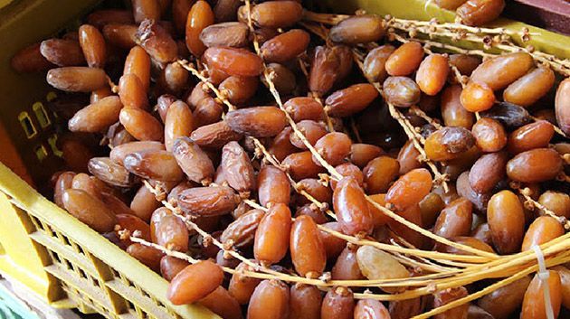 ارتفاع مداخيل تصدير التمور التونسية بنسبة 21,2 %