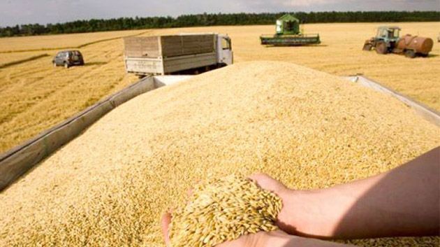 تحسّبا لإمكانية نزول أمطار.. وزارة الفلاحة تدعو الى حماية مخزون الحبوب المجمّعة 