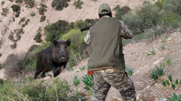 كانوا بصدد صيد الخنازير.. إنقاذ صيادين و أنياب حاصرتهم النيران في قبلي