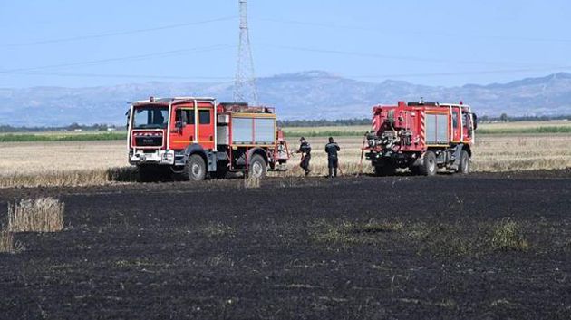 نابل: السيطرة على حريقين بكل من غابة عين كميشة بنابل وملول بقليبية