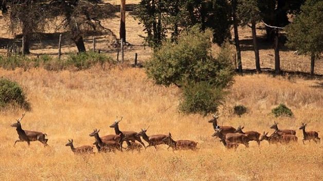 لا تقدم في مسار محاولة إدراج 3 محميات طبيعية تونسية ضمن قائمة دولية