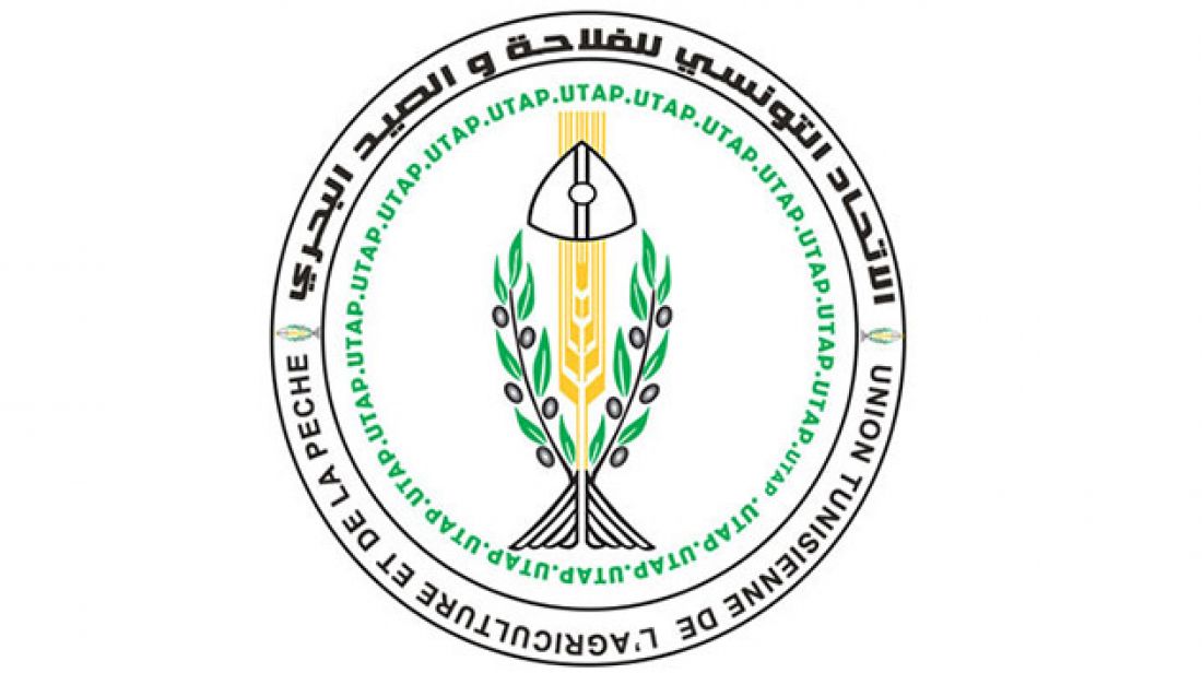 اتحاد الفلاحة يدعو الحكومة إلى اتخاذ إجراءات استثنائية لإضفاء مرونة أكبر في تطبيق سلّم تعيير الحبوب اتحاد الفلاحة يدعو الحكومة إلى اتخاذ إجراءات استثنائية لإضفاء مرونة أكبر في تطبيق سلّم تعيير الحبوب