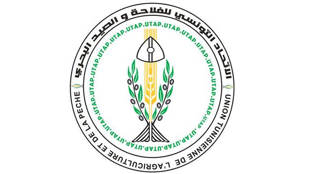اتحاد الفلاحة يدعو الحكومة إلى اتخاذ إجراءات استثنائية لإضفاء مرونة أكبر في تطبيق سلّم تعيير الحبوب
