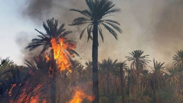 السيطرة على حريق واحة العرق بتوزر