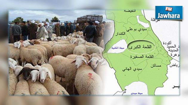القلعة الكبرى : تعرّض أكثر من 20 فلاحا للسرقة
