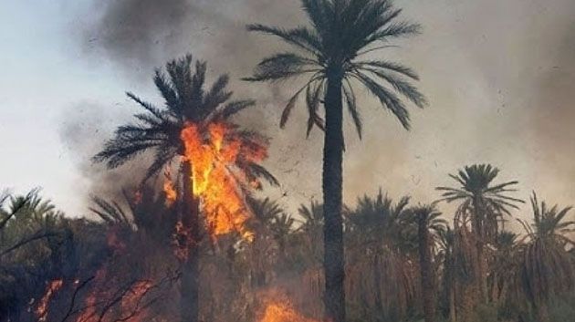 السيطرة على حريق اندلع بواحة توزر القديمة