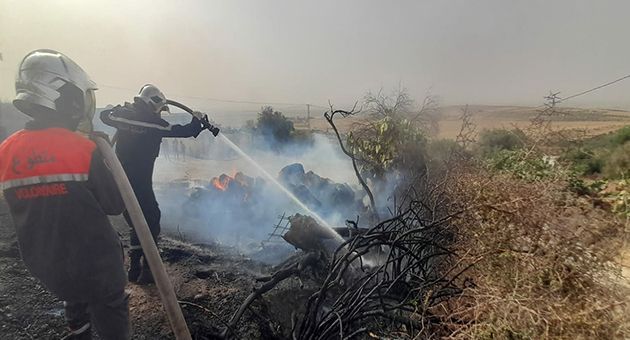 باجة.. السّيطرة على حريق أتى على 5 هكتارات من الغطاء الغابي