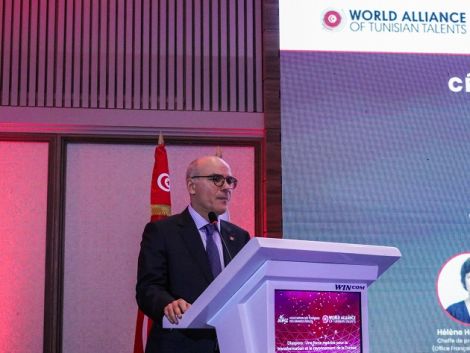 عمار يؤكد ضرورة وضع إستراتيجية لتجميع الكفاءات التونسية بالخارج