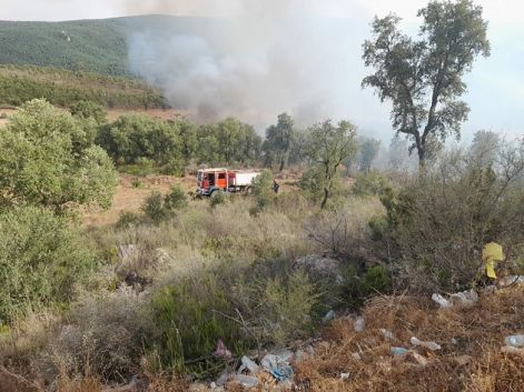 أعوان الحماية المدنية التونسية والجزائرية يسيطرون على حريق بمنطقة حدودية